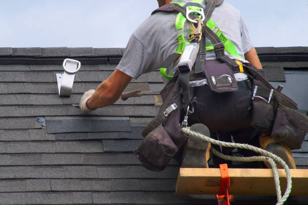 Best Roof Gutter Cleaning  in Pinedale, WY
