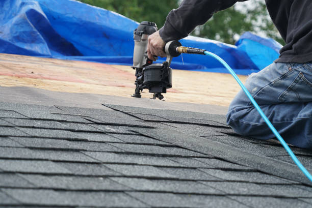 Professional Roofing Contractor in Pinedale, WY